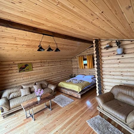Alone Cottage Kazbegi 外观 照片